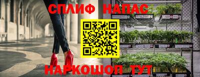 каннабис Бузулук
