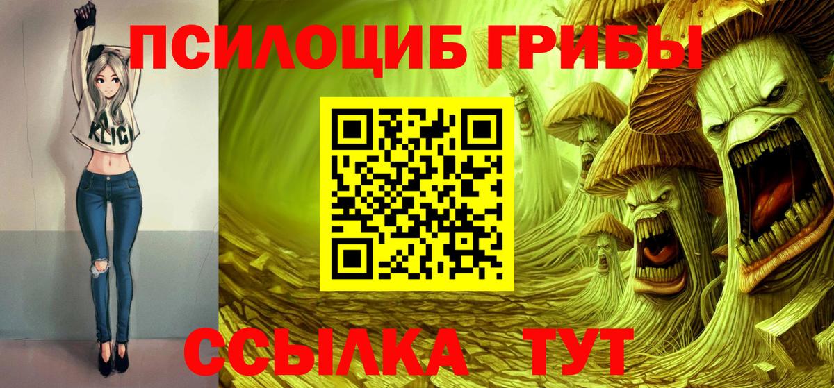 Сибай  Галлюциногенные грибы мицелий  где купить наркоту  Вход с VPN 