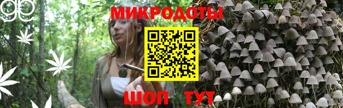 Псилоцибиновые грибы Cubensis Сибай